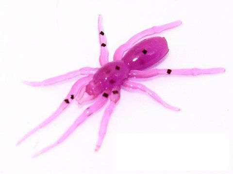 Силіконова приманка Tiny Spider 1.1" колір 30 200079 фото
