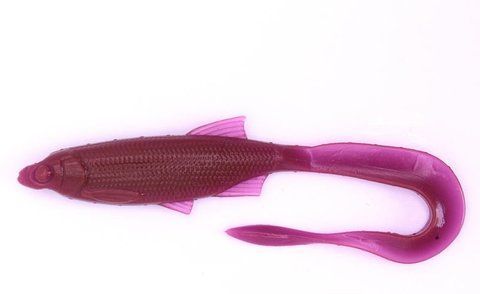 Силіконова приманка Fish Tail 2.5" колір 06 400114 фото