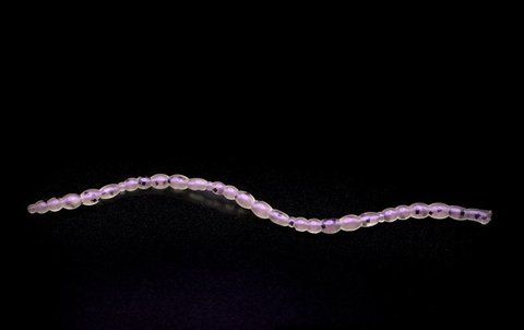 Силіконова приманка Blood Worm 1" колір 39 500835 фото
