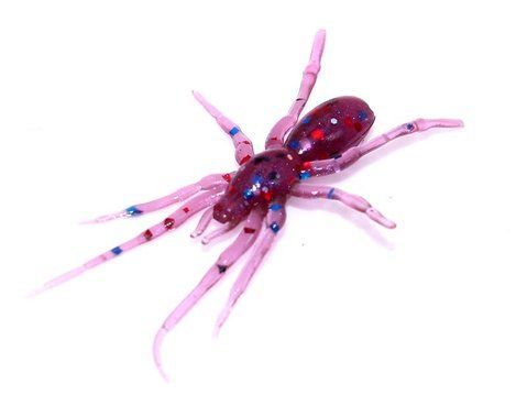 Силіконова приманка Tiny Spider 1.1" колір 43 200086 фото